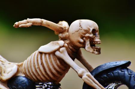 骑自行车的人, 骨架, 令人毛骨悚然, 很奇怪, 装饰, 可怕, 骨