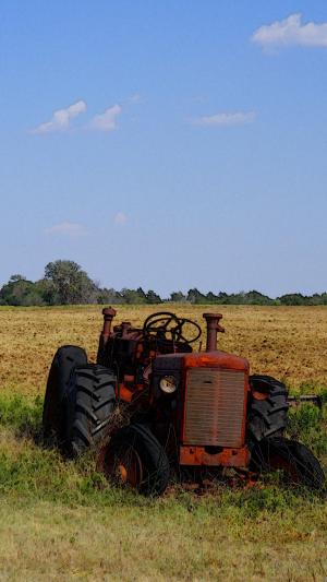 拖拉机, 农场, 农业, 农业, 机械, 景观, 农场的场长