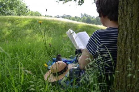 读书, 书, 阅读, 阅读, 文学, 夏季, 自然