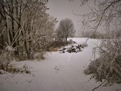 景观, 冬天, 回忆, 雪, 积雪, 寒冷的温度, 光秃秃的树上