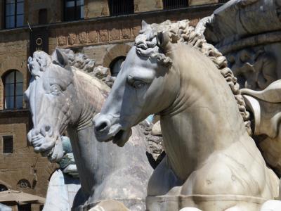 弗洛伦斯, 意大利, 雕塑, 马