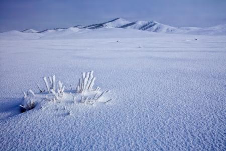 雪原上, 冻结, 冬天, 鲍嘉村, 12 月, 蒙古