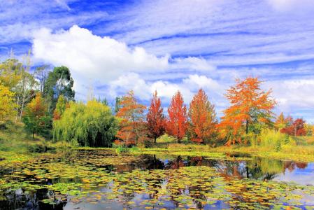 风景名胜, 景观, 秋天, 湖, 天空尼尔森, 南岛, 新西兰