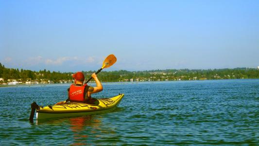 男子, 皮划艇, 身体, 水, 皮划艇, 湖, 阳光