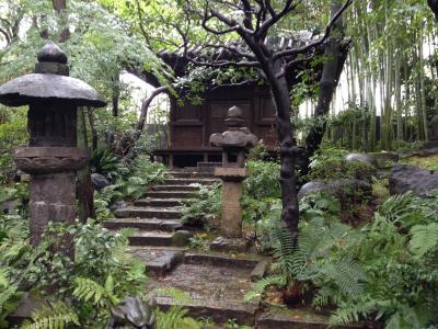 花园, 日本花园, 茶室