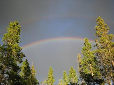 双重彩虹, 彩虹, 树木, 鼓舞人心, 科罗拉多州, 天空