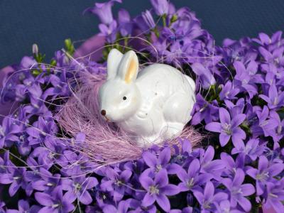 复活节, 野兔, 图, 复活节兔子, 春天, 装饰, 开花