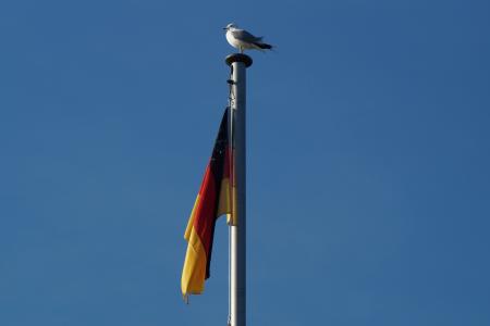 德国, 国旗, 风, 颤振