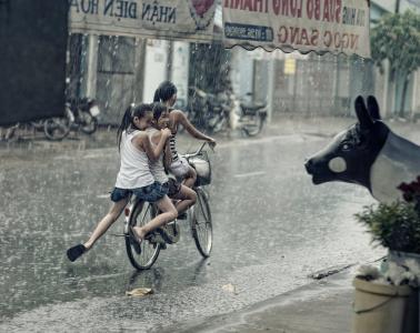儿童, 快乐, 玩, 骑马, 自行车, 雨, 植物