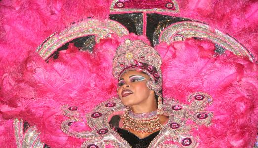 女士, samba, 巴西, 粉红色羽毛, 狂欢节, 文化, 人
