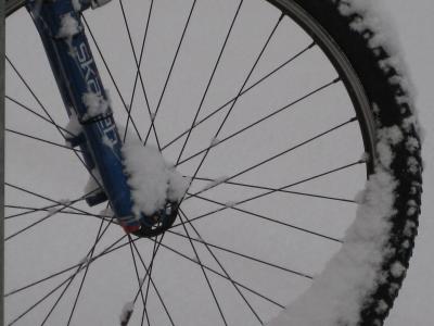 山地自行车, 自行车, 车轮, 成熟的, rim 公司, 辐条, 大雪封门
