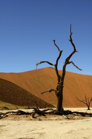 纳米比亚, 苏斯, 沙丘, 自然, 小山, 沙漠, 干旱气候