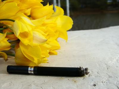吸烟, 香烟, 花, 春天