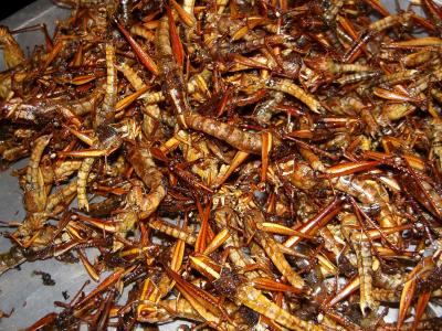 昆虫, 烧烤昆虫, 吃, 泰国