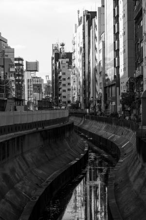 河, 涩谷, 东京都市区, 城市, 脏, 城市