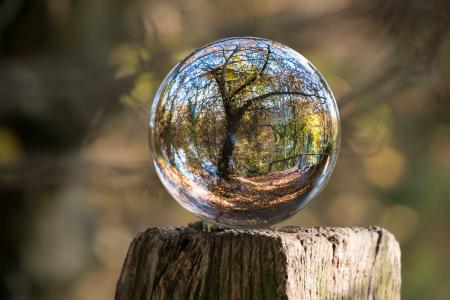 玻璃球, 秋天, 树, 纠结, 全球形象, 照片球, 球