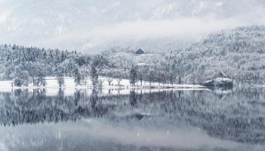 冬天, 湖, 水, 反思, 雪, 感冒, 景观