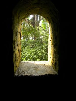 石头, 年龄, 青苔, 绿色, 波多黎各, 窗口, 门户网站