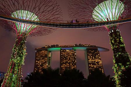 滨海湾, 大树, 海湾花园, 新加坡, 晚上, 灯