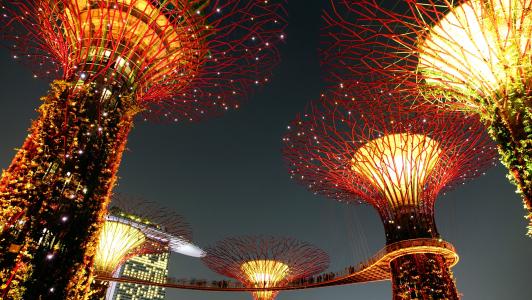 海湾花园, 新加坡, 晚上, 照明, 具有里程碑意义, 服饰, 吸引力