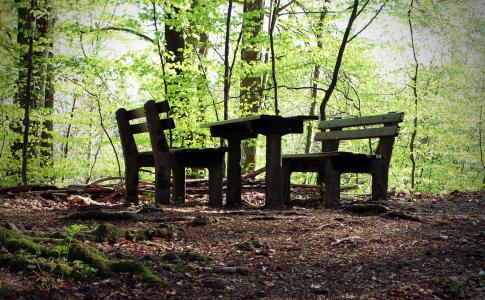 座位安排, 自然, 休息的地方, 休息, 森林, 银行, 木材