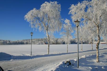 冬天, 雪, 太阳能, 白色, 感冒, 瑞典, 白雪皑皑