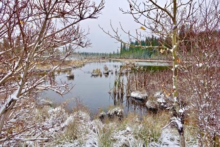 湖, 感冒, 雪, 荒野, 反思, 冻结, 风景名胜