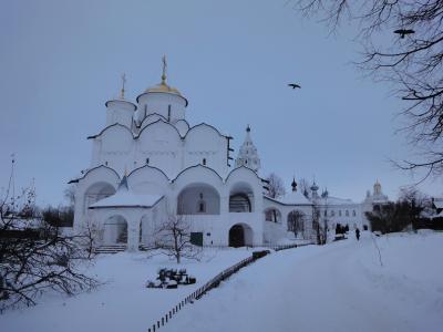 苏兹达尔, 冬天, 寺, 教会, 雪, 圆顶, 俄罗斯