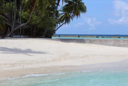 马尔代夫, 海, 海滩, 棕榈树, 假日, 夏季, 滩海