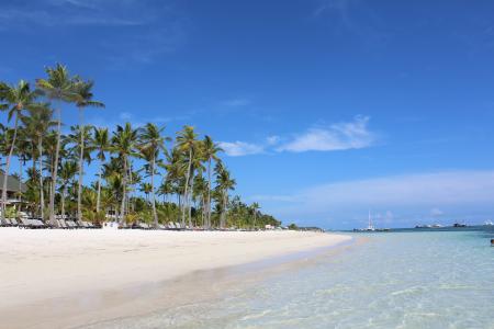蓬塔卡纳, 棕榈树, 多米尼加共和国, 热带, 旅行, 蓝色, 海滩
