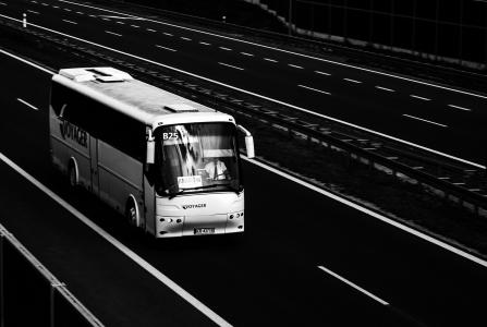 公共汽车, bova 富, bova, 富, 公路, 黑色和白色, 运输