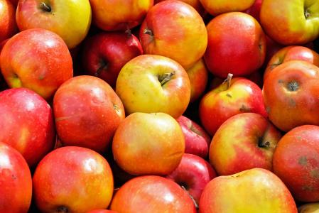 苹果, 水果, 水果, 美味, 维生素, 收获