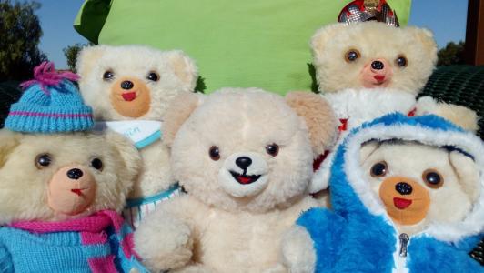 泰迪, 熊, 集团, 人, 玩具熊, 玩具, 可爱