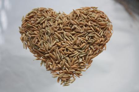 心, 大米, 水稻的心, 心的形状, 爱, 特写, 没有人