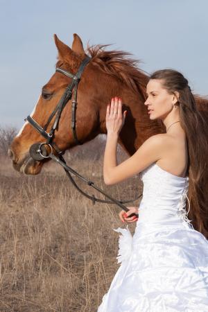 马, 婚纱礼服, 字段, 婚礼, 女孩, 伴娘礼服, 白色连衣裙
