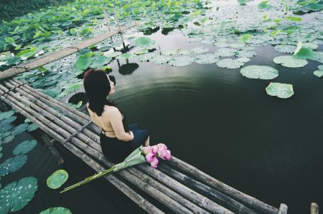 女人, 坐, 池塘, 亚洲, 莲花, 构成, 生活方式