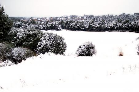 雪, 内华达州, 冬天, 景观, 雪域景观, 白色, 感冒