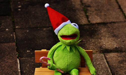克米特, 青蛙, 圣诞节, 圣诞老人的帽子, 可爱, 有趣, 圣诞节的时候