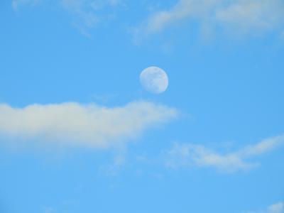 天空, 云彩, 月亮, tagmond, 白天, 蓝色, 印象