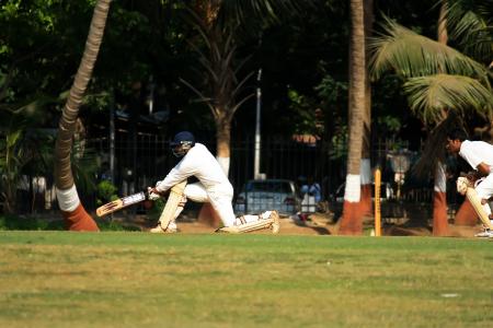 wicketkeeper, 板球, 击球, 球类游戏, 印度, 竞争, 球员