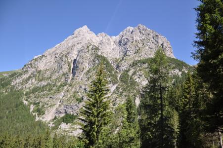 山, 蒙 coglians, 天空, 自然, 树, 森林, 欧洲阿尔卑斯山