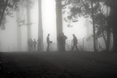 雾, 雾, 景观, 森林, 自然, 黑暗, 薄雾