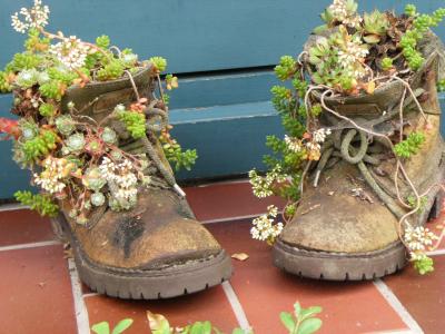 鞋子, 自然, 花, 靴子, 花, 花盆, 植物