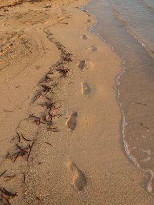 脚印, 海滩, 海, 海洋, 沙子, 赤脚, 海岸