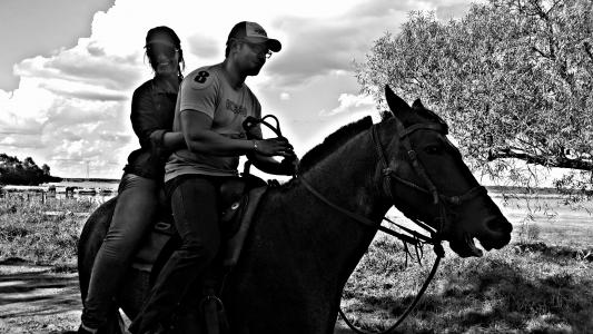 骑, 景观, 马