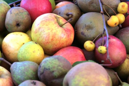 苹果, 水果, 水果, 健康, 维生素, 果树, 苹果品种