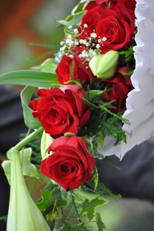 玫瑰, 花, 斯特劳斯, 婚礼