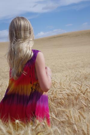 小麦, 字段, 蓝色, 金, 女孩, 金发女郎, 作物