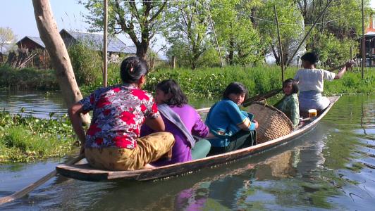 缅甸, 小船, 人, 桨, 桨, 亚洲, 水