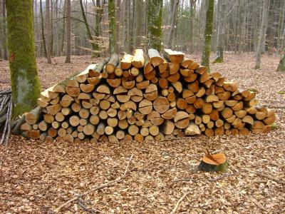 木材, 森林, holzstapel, 锯材, 拆分, 堆栈, 木柴
